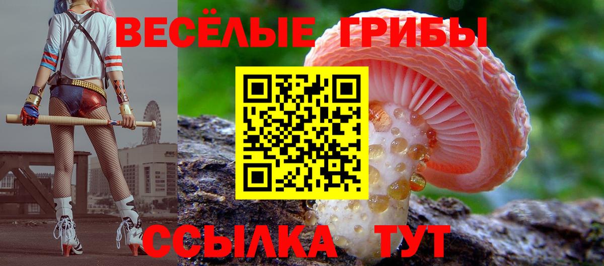 Галлюциногенные грибы Psilocybine cubensis  Вход с VPN  Псилоцибиновые грибы Psilocybine cubensis  Донецк 